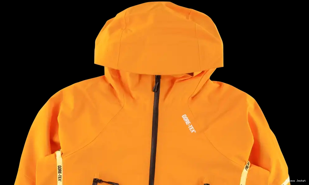 Cheap Palace Palex Gore-Tex Jacket 0603